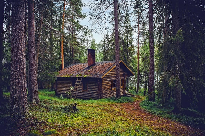 Rustic Lodge in the Forest